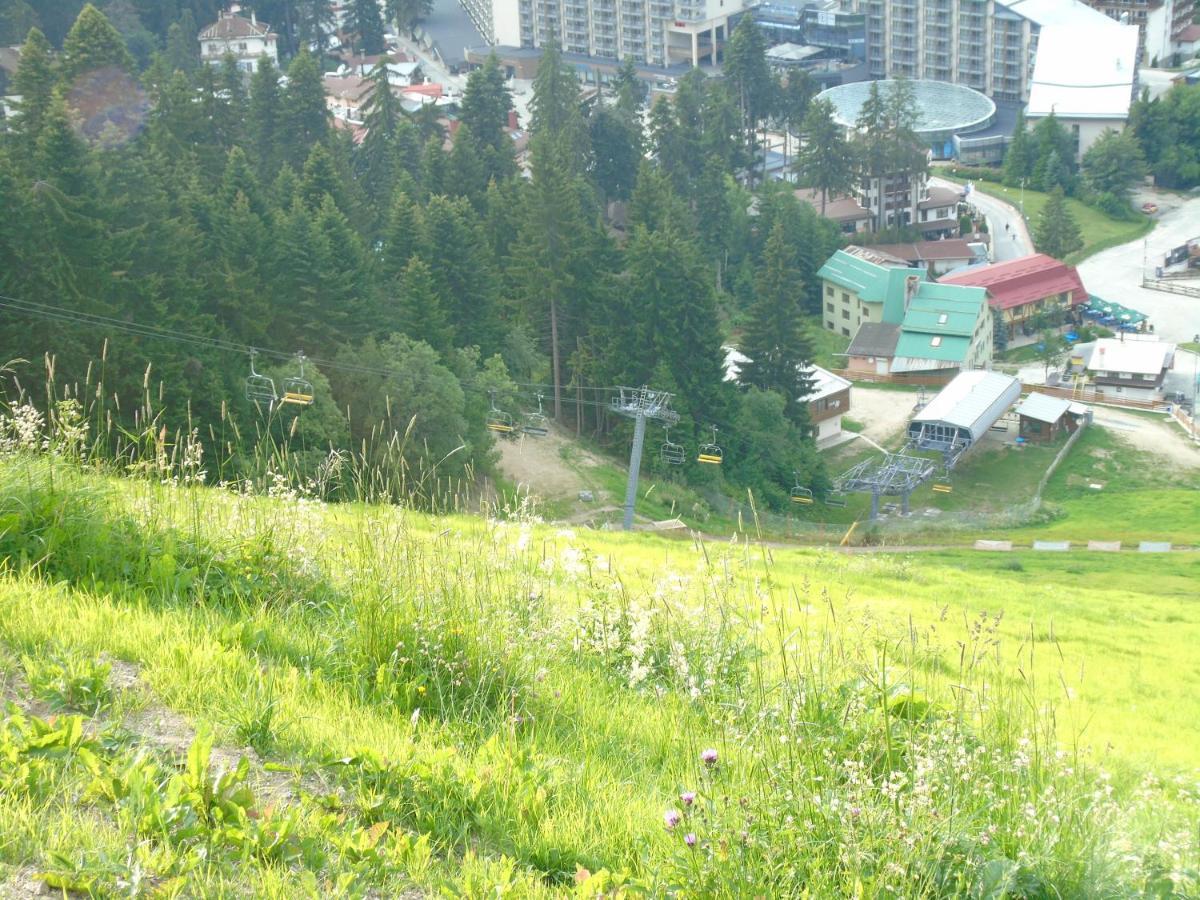 בורובץ Хотел Флора Private Studio All Seasons מראה חיצוני תמונה